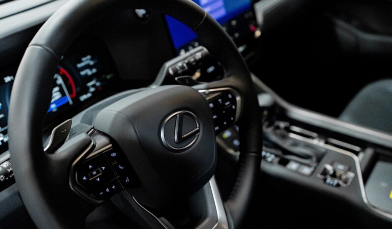 
								Lexus RX350 Sport full									