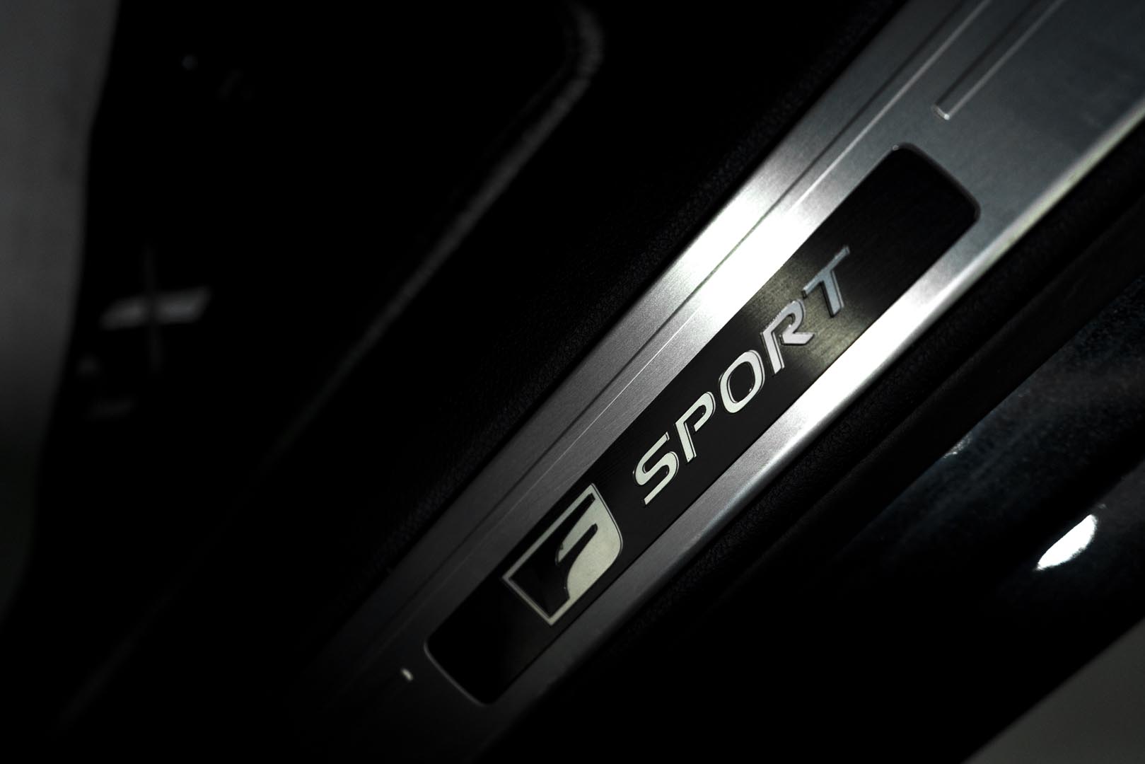 Lexus RX350 Sport (6)