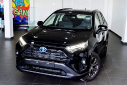 Toyota RAV4 Hybrid (2025)