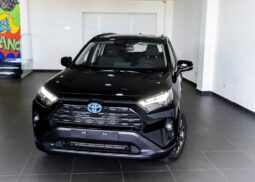 
										Toyota RAV4 Hybrid (2025) full									