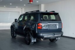 
										Toyota Land Cruiser Prado Gray full									