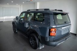 
										Toyota Land Cruiser Prado Gray full									